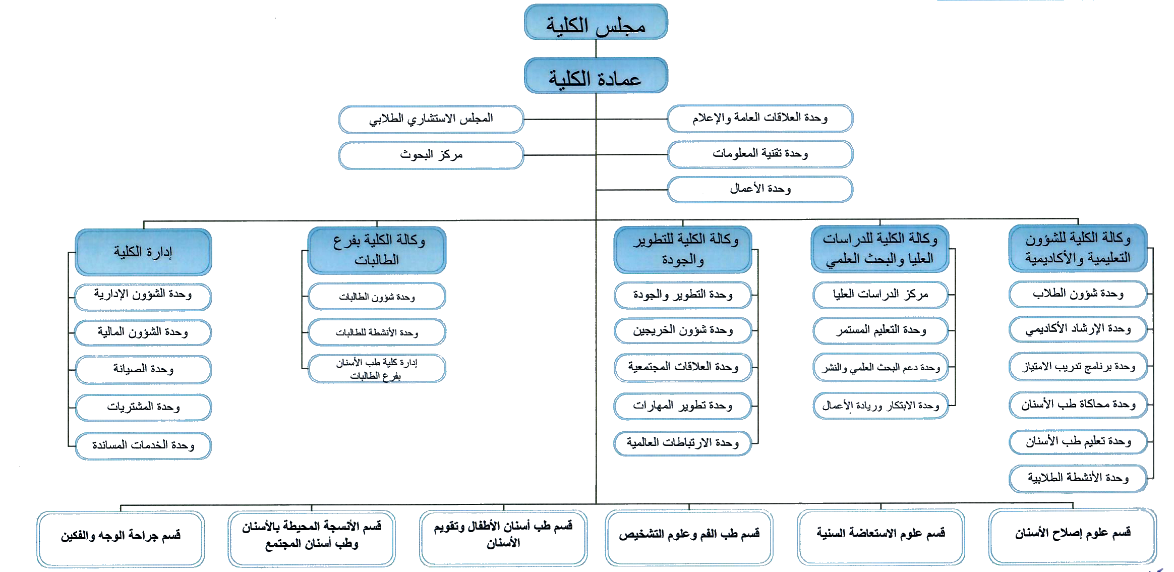الهيكل التنظييمي